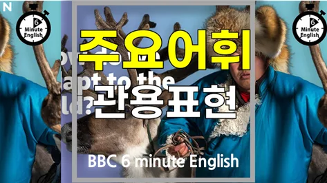 추위 적응 비결 2026: 영어 단어 암기법과 핵심 표현 총정리 — 어학·외국어 — softca