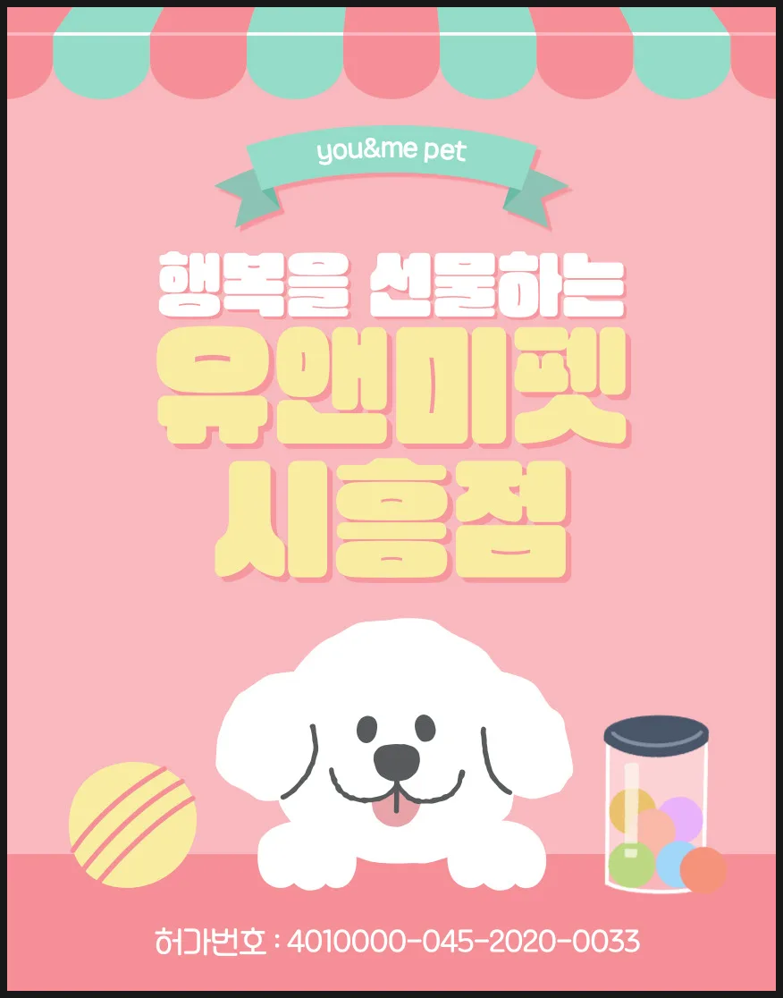시흥 푸들 분양 2026: 유앤미펫 경험 기반 똑똑한 반려견 선택 가이드