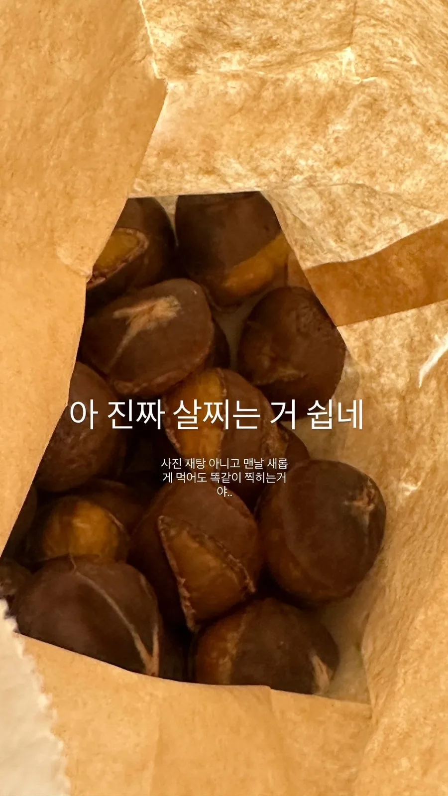 밤에 집착하는 이유 2026: 군밤 사랑 경험자 솔직 후기 — 일상·에세이 — jeicheck 1