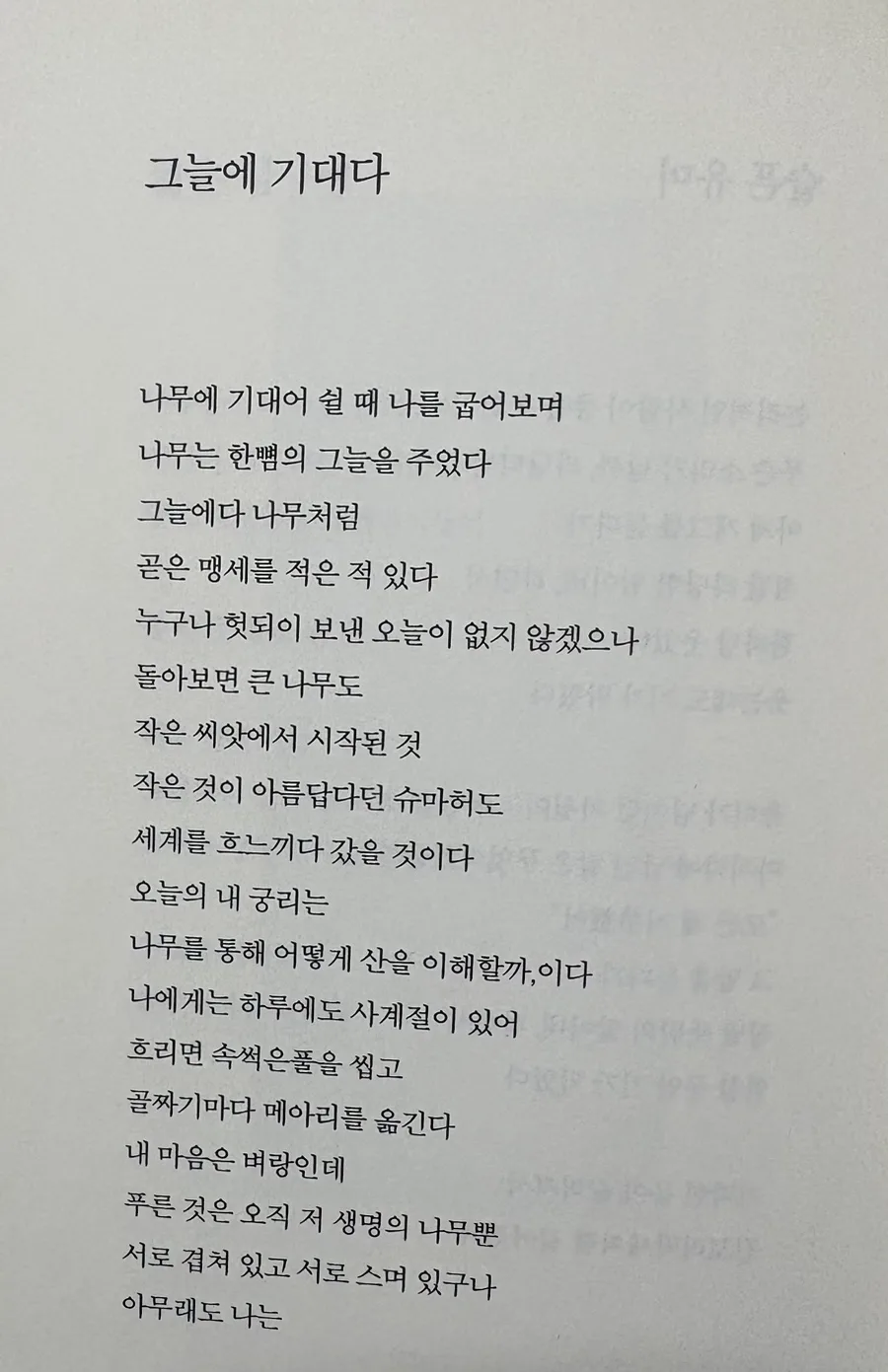 천양희 시 '그늘에 기대다' 2026년 감상: 삶의 지혜와 위안 3
