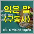 단백질 섭취, 과도한 집착일까? 2026년 BBC 영어 학습 가이드 2