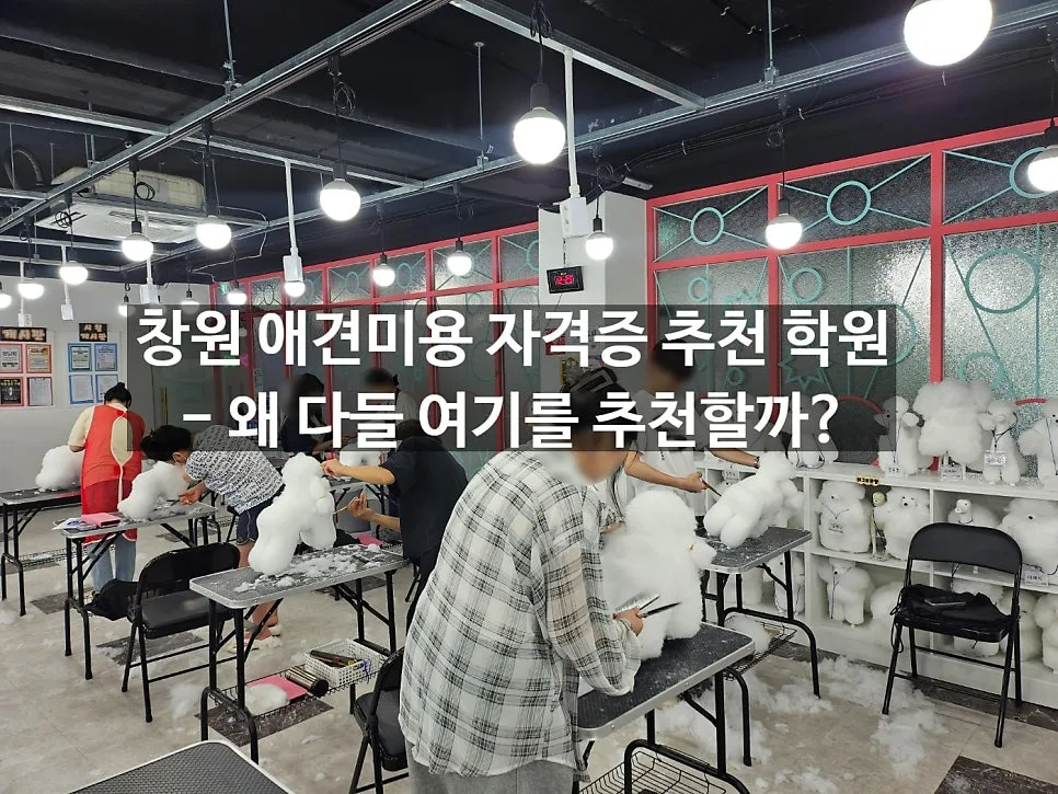 창원 애견미용 학원 2026년, 실력 키우는 곳은 여기! — 교육·학문 — yeppi1207
