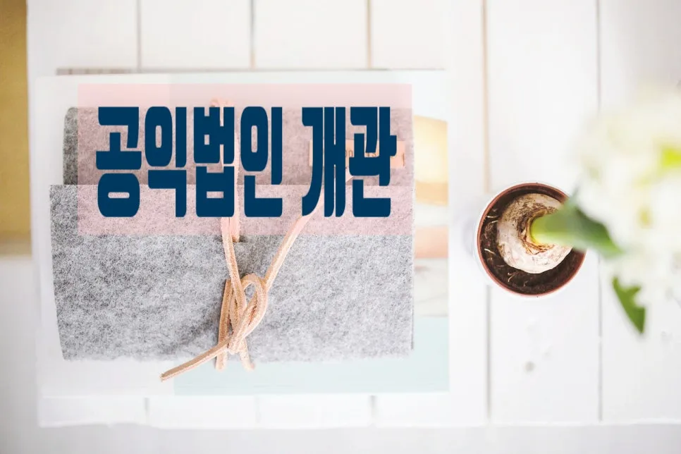 공익법인 설립 요건 및 절차 완벽 분석 (2026년 최신 정보) 3