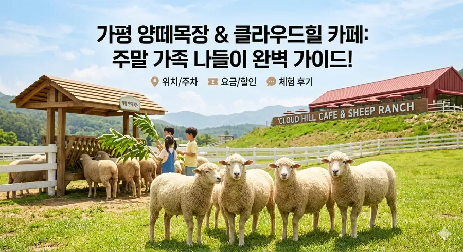 가평 양떼목장 2026: 아이와 가볼만한 곳, 카페 클라우드힐 완벽 가이드 2