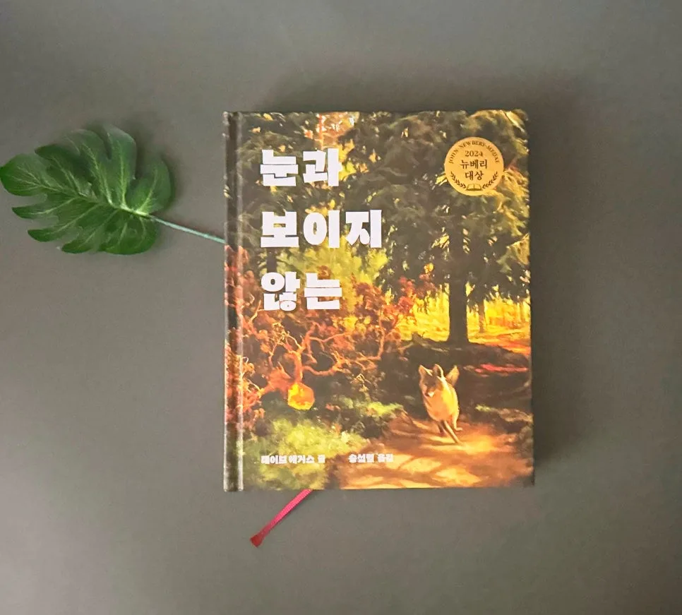 2024 뉴베리 대상작 '눈과 보이지 않는' 핵심 줄거리와 교훈 2026 — 문학·책 — catharsis486 1