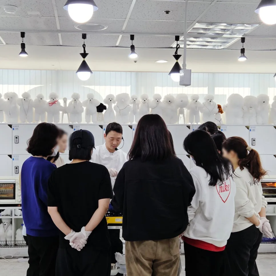 국비지원 애견미용학원 2026년 선택 가이드: 취업 성공 후기 3
