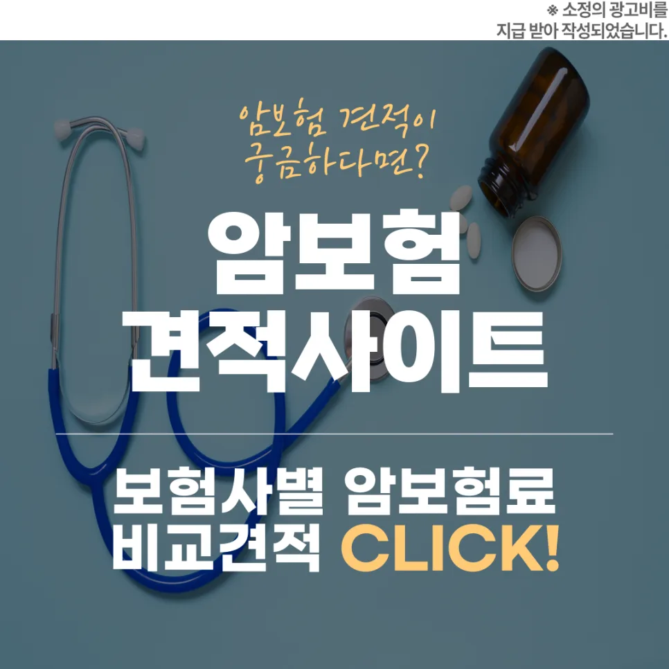 2026년 여성 암보험, 보장 범위 꼼꼼히 비교하는 법