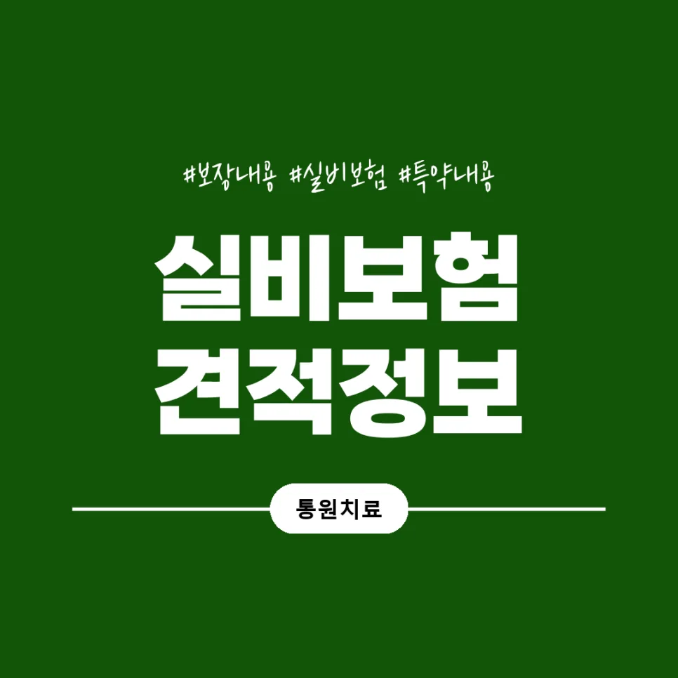 실손보험 전환, 2026년 새 기준 비교 및 현명한 선택법 2
