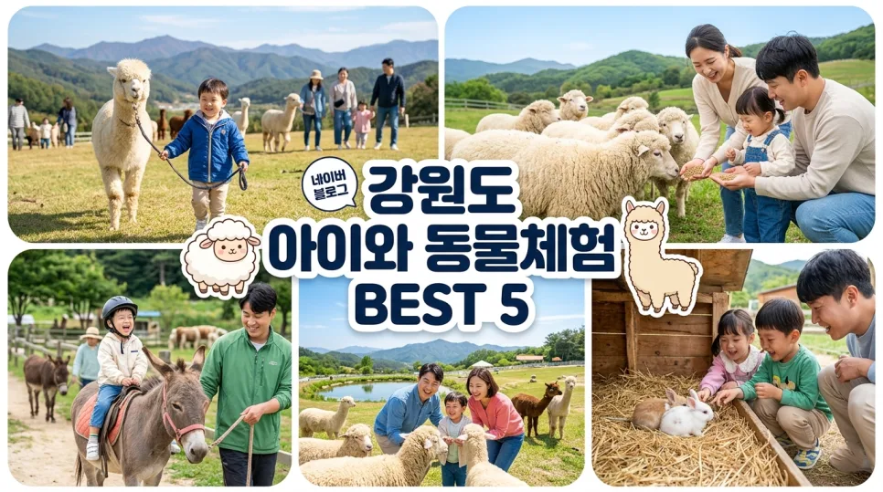 강원도 동물 체험 2026: 아이와 함께하는 이색 여행 BEST 5 — 한국여행 — i0865