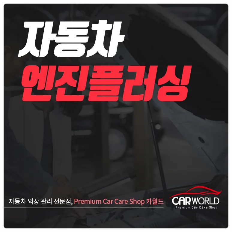 자동차 엔진 플러싱, 2가지 방식 비교 분석 2026 — 자동차 — cwsbj007