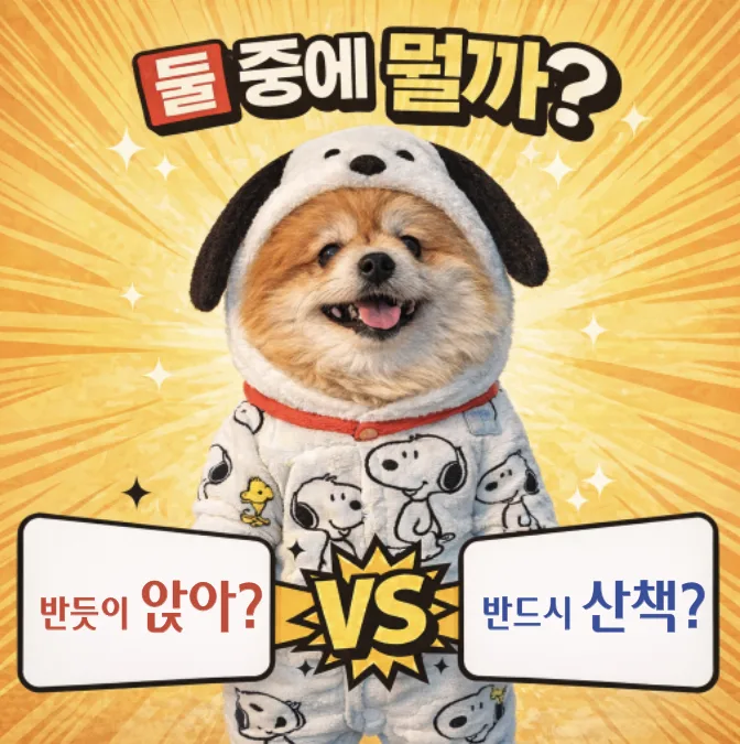 반드시 vs 반듯이: 2026년까지 헷갈리지 않는 완벽 구분법 — 어학·외국어 — designalbranding