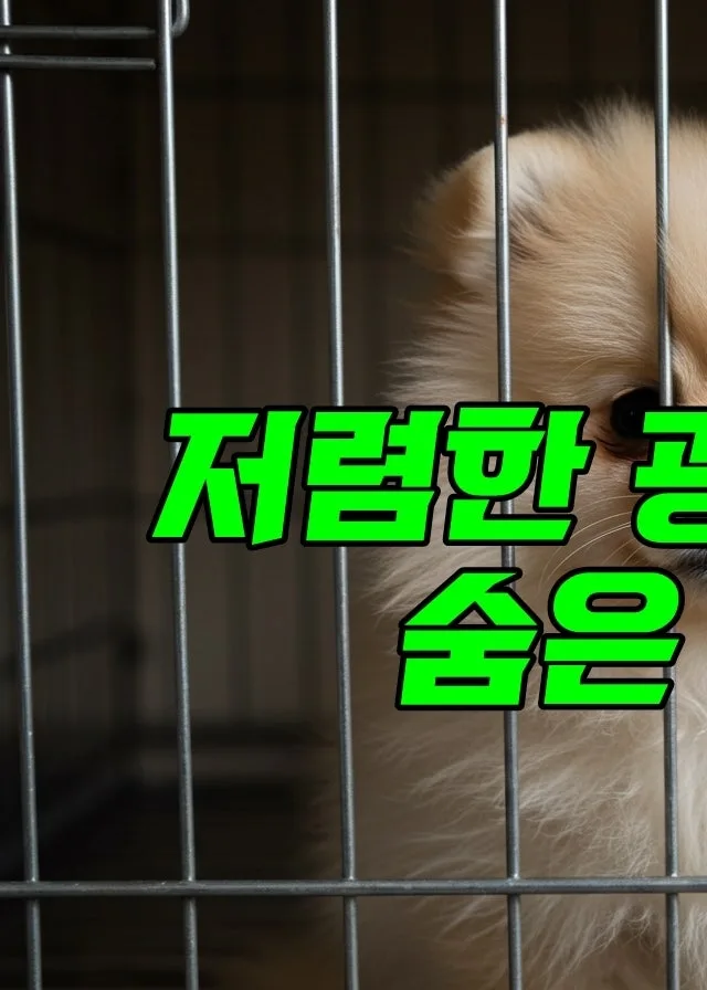 인천 강아지 분양 2026: 저렴한 광고 속 숨겨진 진실과 안전한 입양법 2