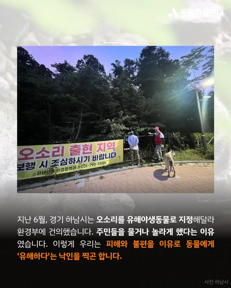 유해야생동물 관리, 사살만이 답일까? 2026년 공존 방안 모색 3