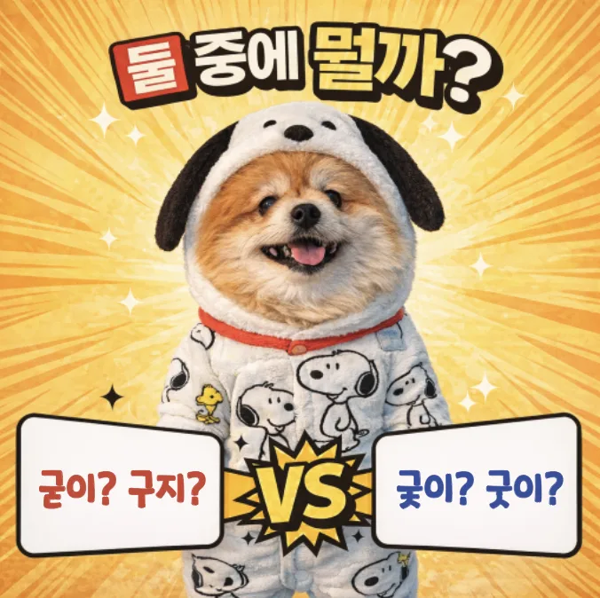굳이, 구지, 궂이 2026년 올바른 맞춤법 총정리 — 어학·외국어 — designalbranding
