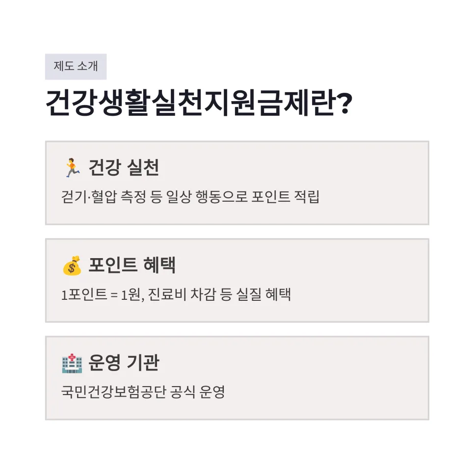건강생활실천지원금제 2026년 신청부터 사용까지, 경험자가 총정리 2