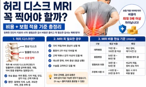 허리디스크 치료 기준과 실손보험 적용법 2026 총정리 2