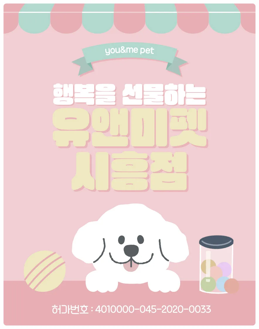 2026년 남양주 말티즈 분양, 유앤미펫에서 건강한 반려견 찾는 법
