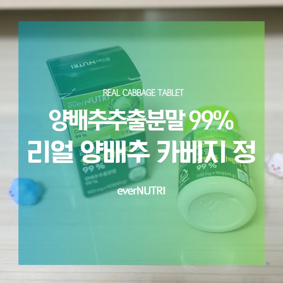 속쓰림 완화, 양배추환 2026년 복용법과 효능 총정리 — 건강·의학 — catharsis486