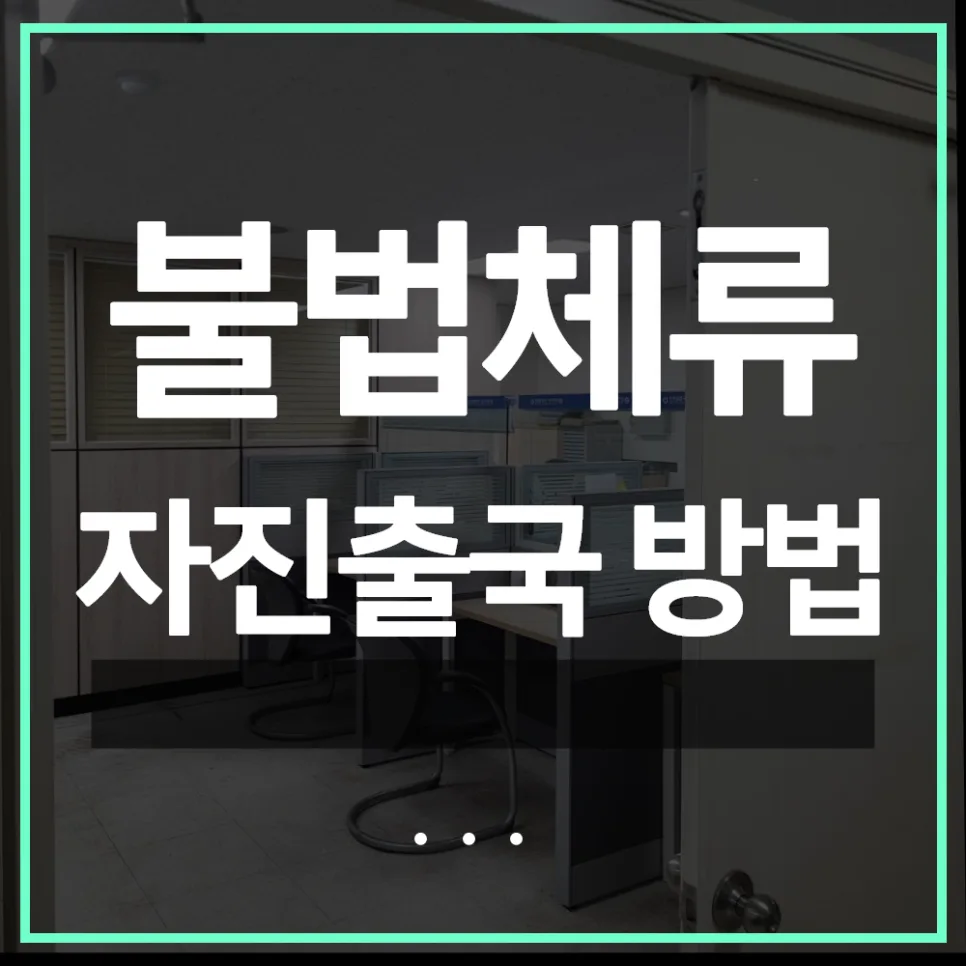 불법체류 자진출국 절차 2026: 안전하게 귀국하는 방법 총정리 — 사회·시사 — kvisaofficial