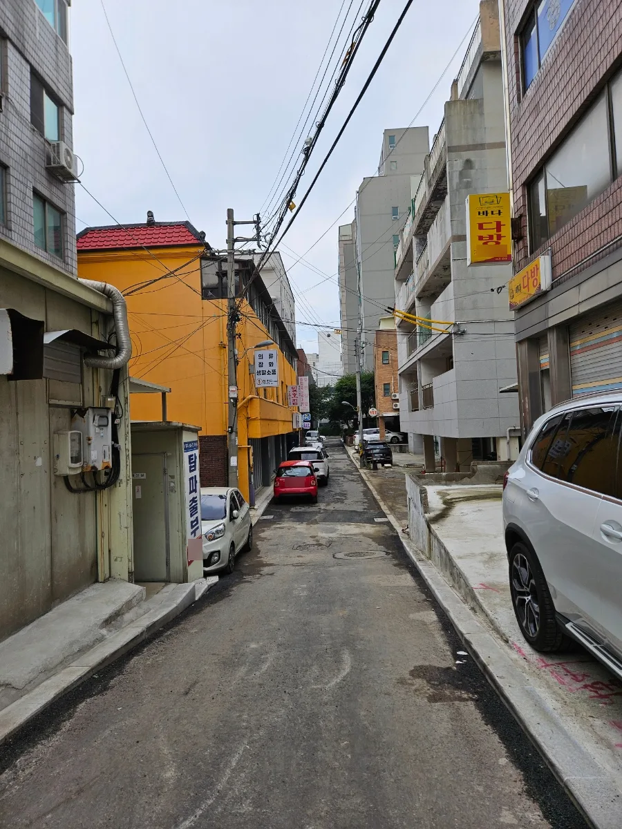 파주 닭발 맛집 일호집, 냉닭발 솔직 후기 2026 2
