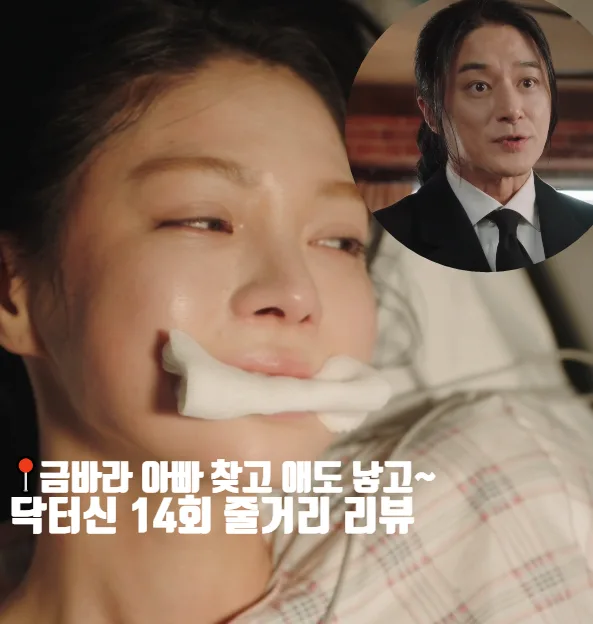 닥터신 14회: 출산·이혼 위기 속 반전 진실 2026년 총정리