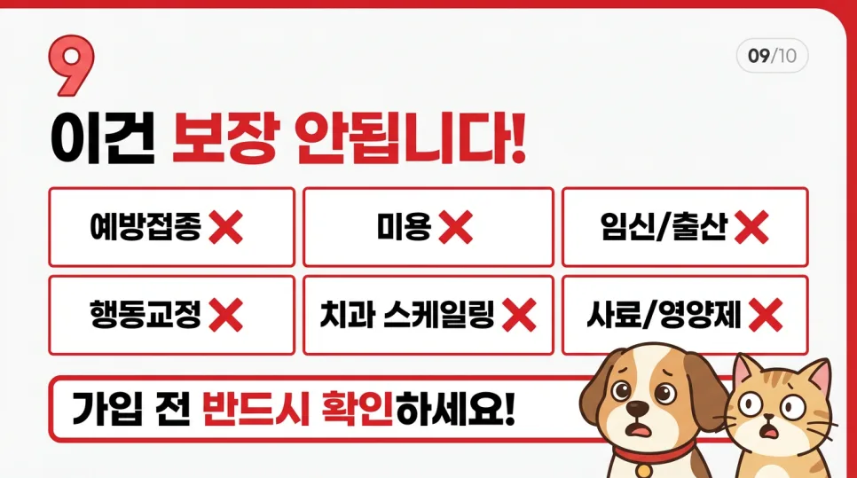 2026년 강아지 보험료, 내 반려견 맞춤 설계 필수 체크리스트 3