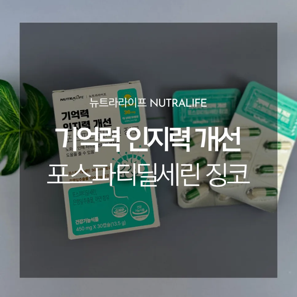 기억력 영양제 2026년 최신 정보: 포스파티딜세린 효과와 복용법 — 건강·의학 — catharsis486