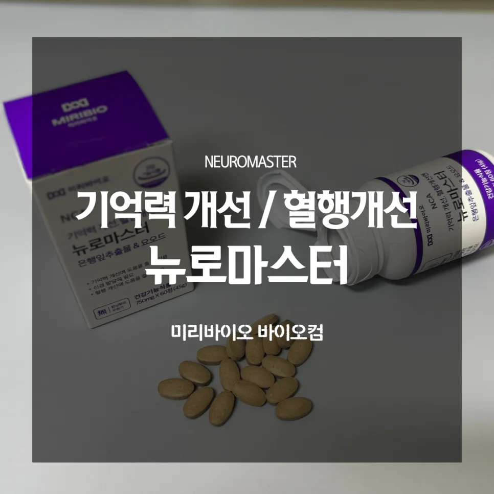 뇌 건강 영양제, 은행잎추출물 효과와 선택법 2026년 총정리 — 건강·의학 — catharsis486