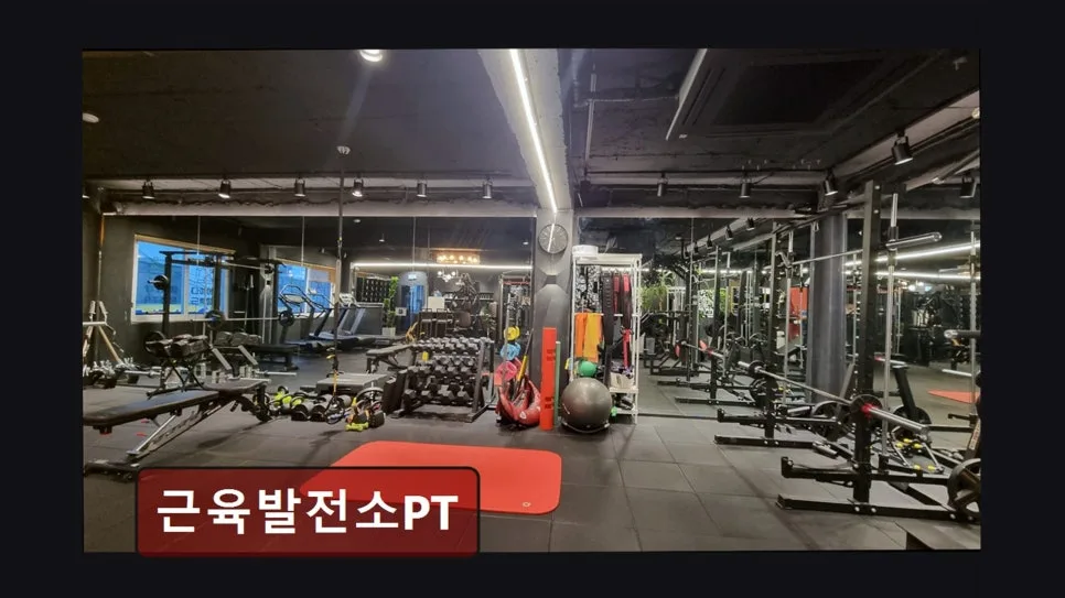 홍대 PT 2026: 근육발전소, 맞춤 지도 효과 직접 확인 — 스포츠 — yacle70