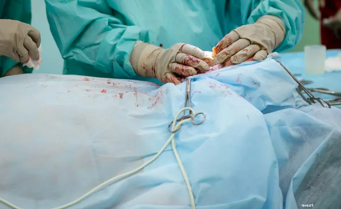 60대 여성 보험, 2026년 최적 보장과 보험료 비교 가입 조건 총정리 2