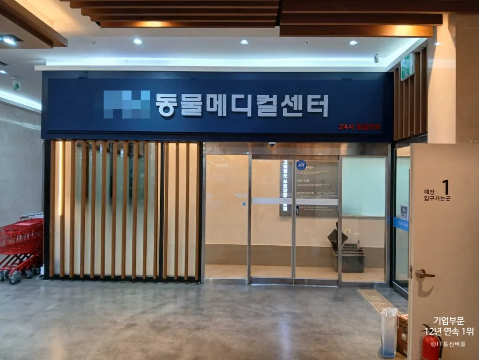 동물병원 전화 응대 2026: 레코드온·통화연결음 활용법 2