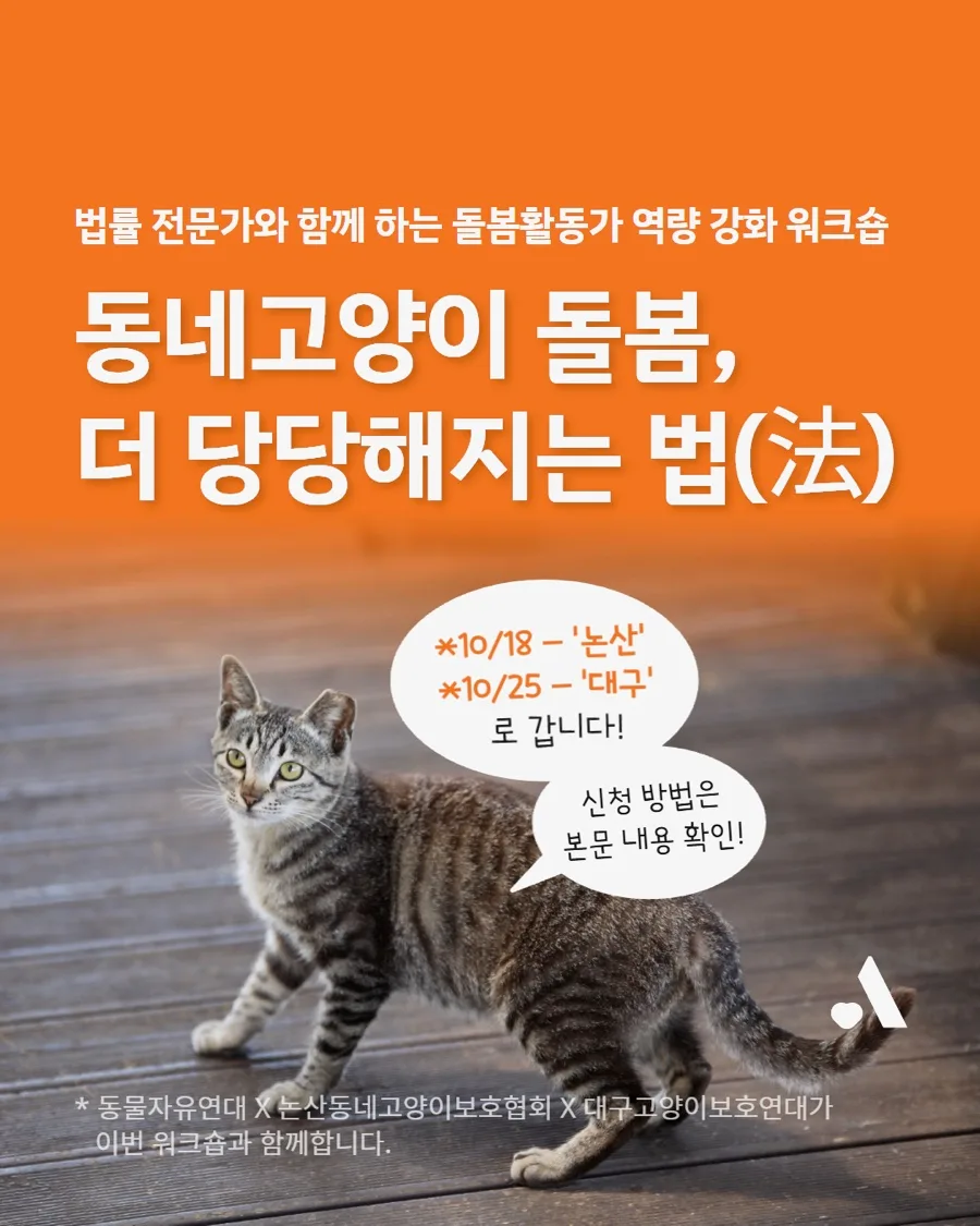 동네고양이 돌봄 법률 워크숍 2026: 활동가 역량 강화 방법 — 사회·시사 — wien9364