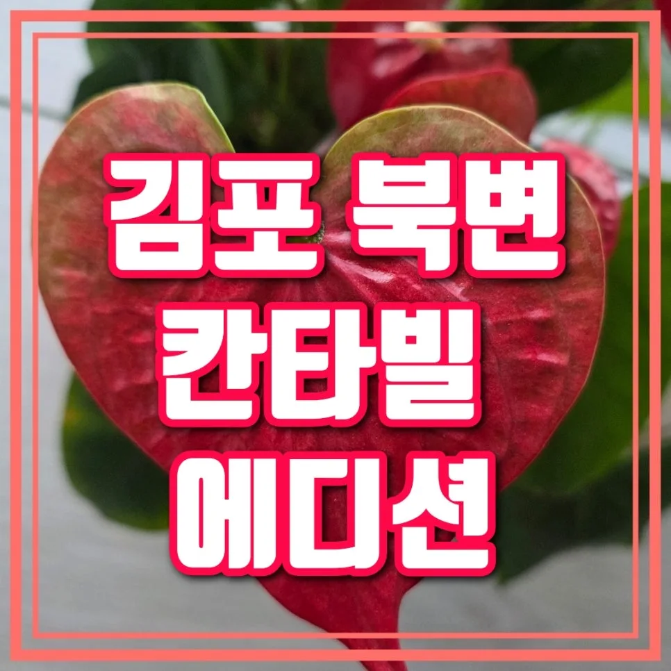 김포 북변 칸타빌 디 에디션 분양가, 5호선 연장 수혜 2026년 전망