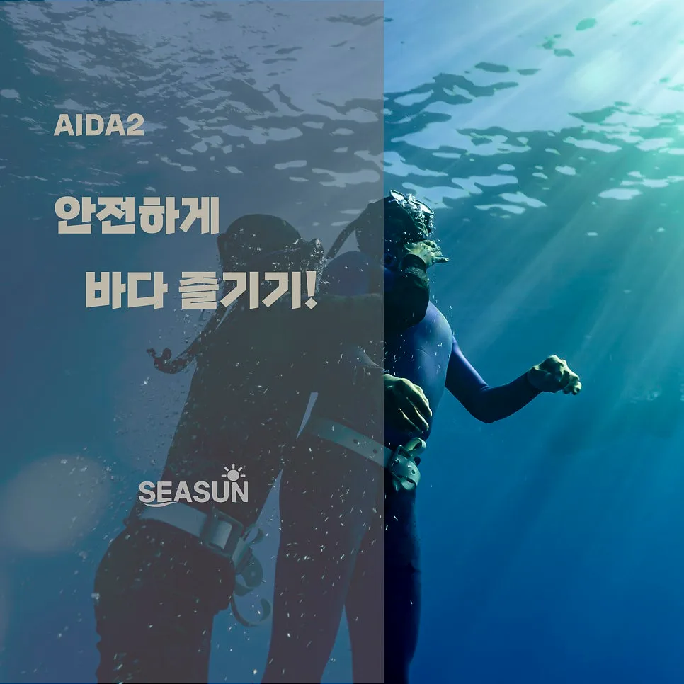 다합 프리다이빙 자격증, 한국서 미리 배우는 법 2026 2