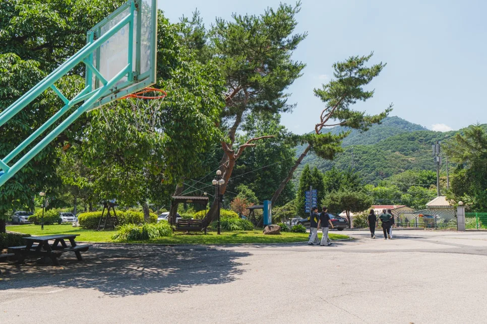 이매창 '새장 속의 학' 해석: 자유 갈망과 고독의 시 2026 2