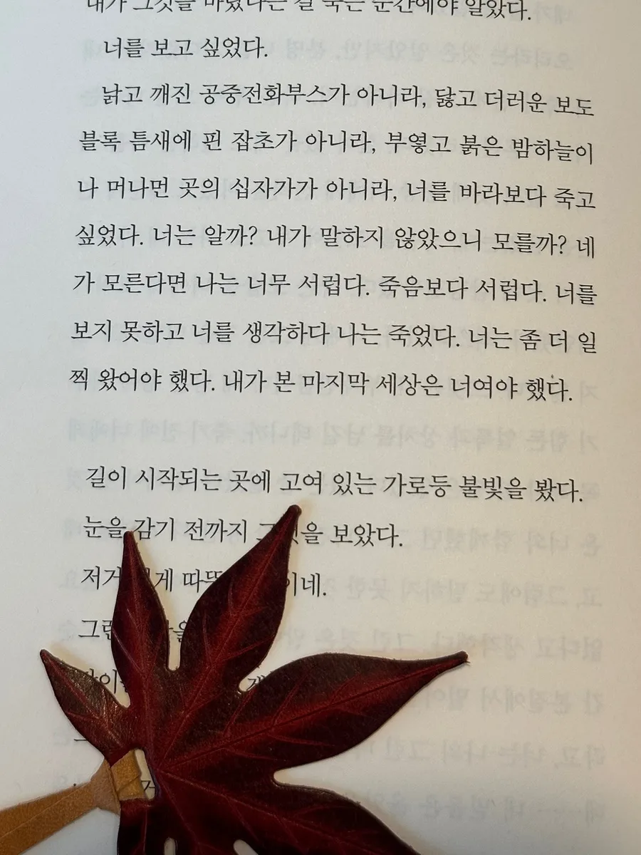 2025년 상반기 추천 도서 4권: 감상 및 핵심 요약 — 문학·책 — myhomeisbest