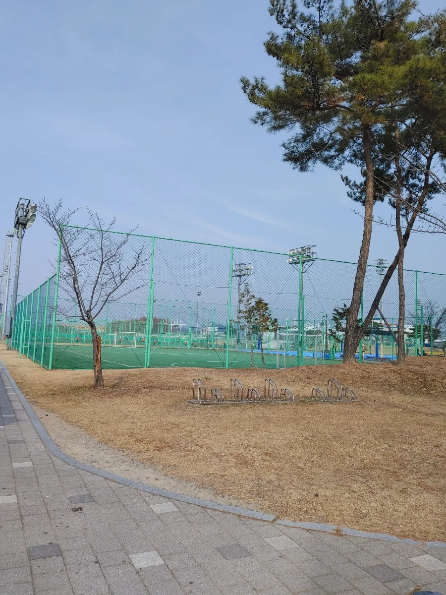 함안 문화 여행 2026: 문학관·한자문화관·도서관 코스 추천 — 일상·에세이 — ojk84