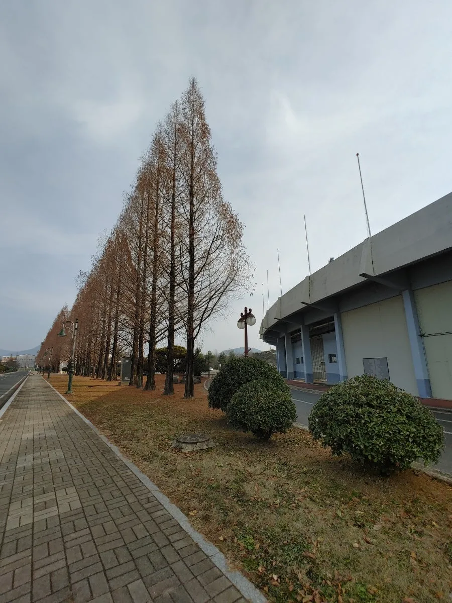 함안 문화 여행 2026: 문학관·한자문화관·도서관 코스 추천 3
