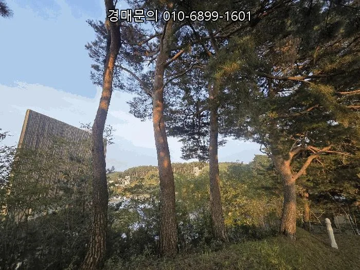 강릉 포남동 근린시설 경매: 43억 최저가 기회 분석 2026 2