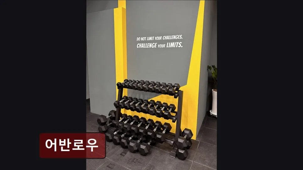 홍대 로잉 PT 2026: 어반로우 그룹 수업 효과와 무료 체험 정보 3