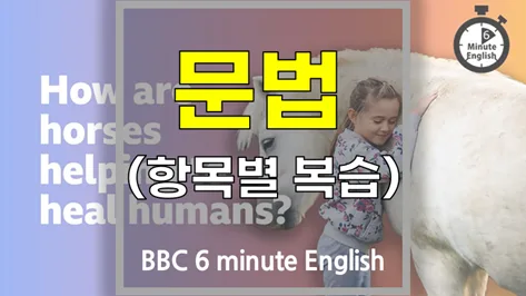 말이 치유하는 힘: 인간의 몸과 마음을 치유하는 방법 2026 — 건강·의학 — softca