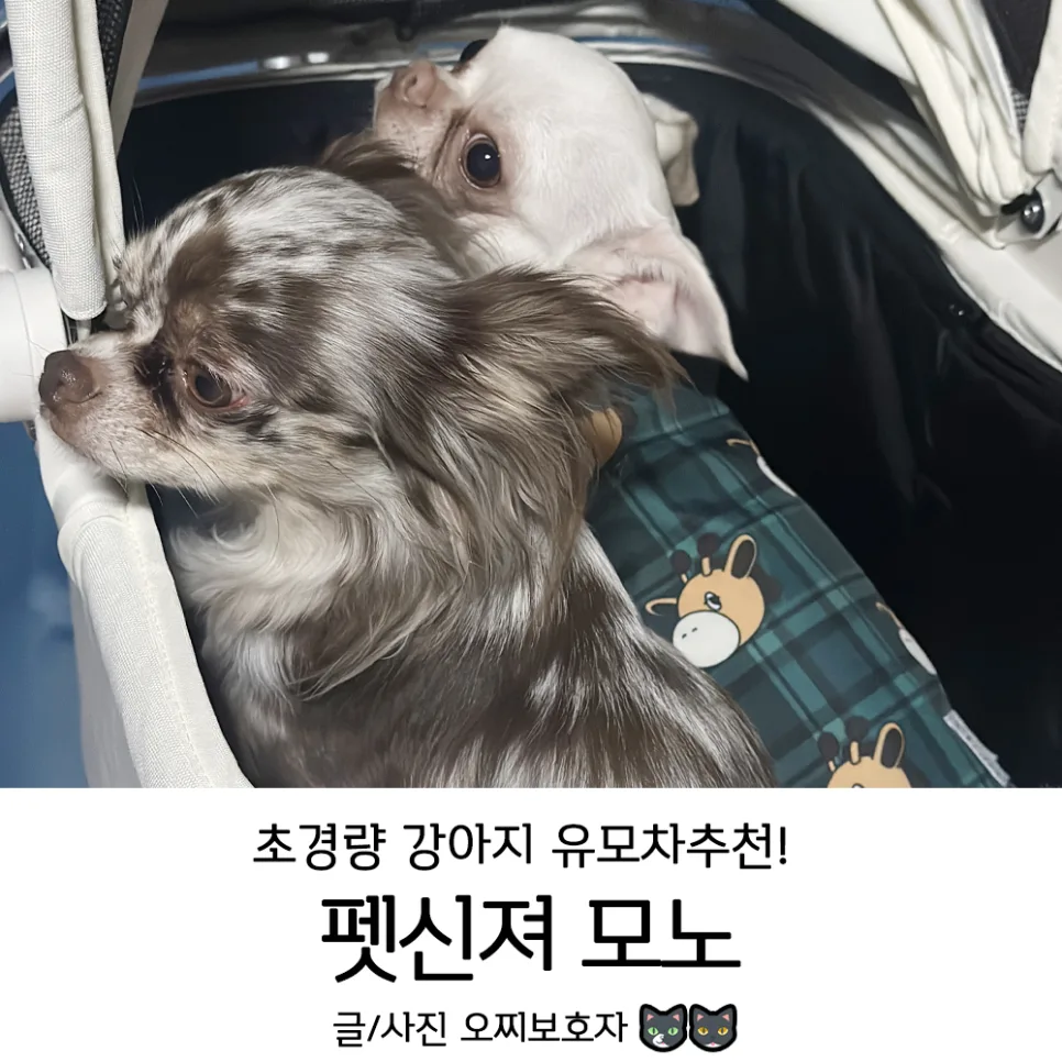 애견유모차 펫신져 모노, 2026년 가볍고 넓은 선택지 비교 3