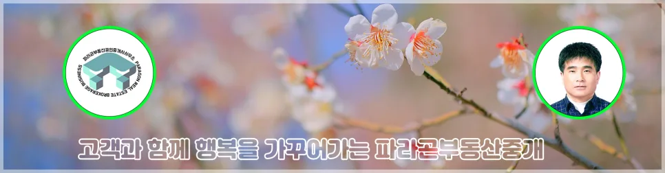 보증금 낮춘 월세 계약, 2026년 임대인 위험 3가지 총정리 2