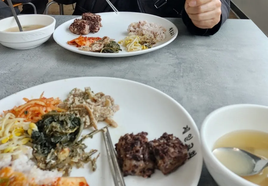 제주 한달살기 숙소 마무리와 신신호텔 오션점 후기 2026 3