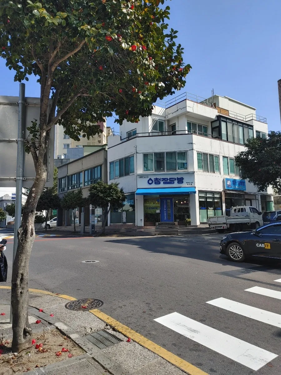 제주 곶자왈 도립공원 버스 환승 경험 2026 3