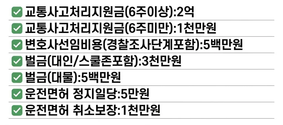 영업용 운전자보험 2026년, 사고 시 필수 보장 총정리 2