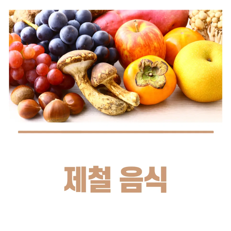 가을 환절기 건강관리 꼼수 2026: 알면서도 못 지키는 이유와 현실적 방법 2