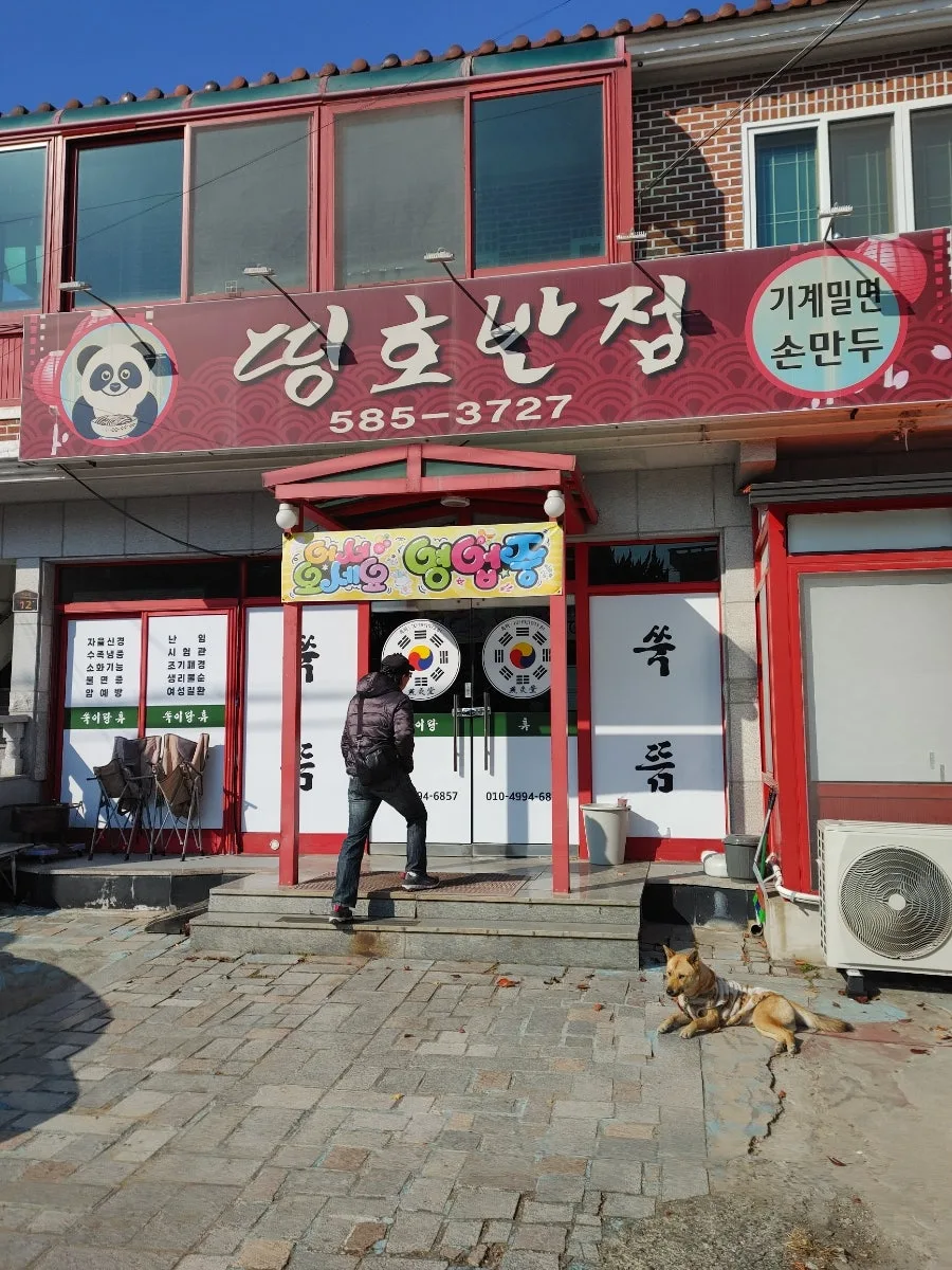 함안 한달살기 경험: 교촌치킨 맛집 탐방 & 단감 에피소드 2026 3