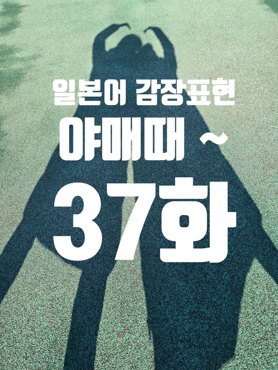 일본어 기초 단어 2026: '스고이'부터 '오이시이'까지 어원 총정리 — 어학·외국어 — ksw8832