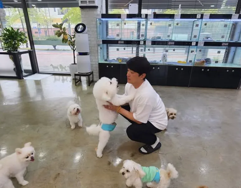 세종시 애견호텔 황금연휴 만실? 강아지 안심 맡기는 법 2026 3